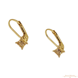 Arany Hagyományos Kapcsos Fülbevaló AU 88198