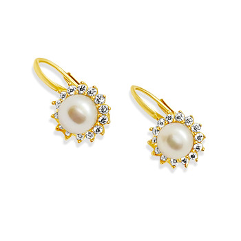 Arany Hagyományos Kapcsos Fülbevaló AU 75638