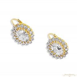 Arany Hagyományos Kapcsos Fülbevaló AU 76370 Arany Hagyományos Kapcsos Fülbevaló AU 76370