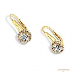 Arany Hagyományos Kapcsos Fülbevaló AU 71420 Arany Hagyományos Kapcsos Fülbevaló AU 71420