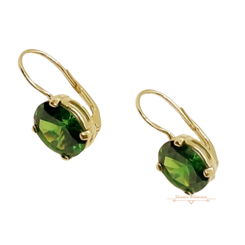 Arany Hagyományos Kapcsos Fülbevaló AU 84585