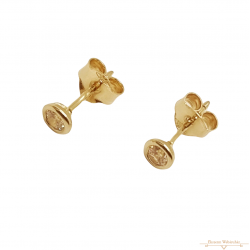 Arany Cirkónia Köves Stekkeres Fülbevaló AU 87348