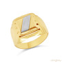 Arany Pecsétgyűrű (méret:66) AU 87444