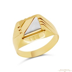 Arany Pecsétgyűrű (méret:69) AU 87445