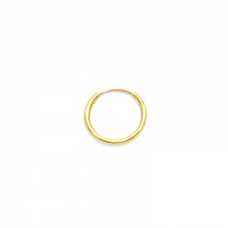 Arany Karika Fülbevaló (1db) AU 95894