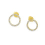 Arany Stekkeres Fülbevaló AU 94499