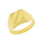 Arany Pecsétgyűrű (méret:69) AU 93162