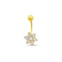 Arany Piercing AU 95616