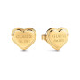 GUESS FÜLBEVALÓ JUBE02179JWYGT/U